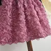 Falda Nueva Estilo Otoño e Invierno para Niñas Vestido de Princesa Infantil Vestido Rosa para Bebé Vestido para Niña Pequeña Ropa Infantil Transfronteriza