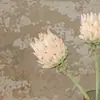 Fruta de Alcachofra Simulação Flor Imperial, Arranjo de Flores de Veludo de Alta Qualidade para Decoração de Casa, Casamento e Paisagismo de Jardim