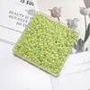 Accesorios Imitación Perla Maillard 10g Tamaño Mixto Bolas Redondas Plástico ABS Perlas Yiwu Transfronterizo No Poroso Color Mixto Accesorios