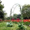 Fábrica de Origen Venta Caliente Transfronteriza Bastidor de Hierro para Trepar en Patio Boda Jardín Bastidor para Flores Rosas Bastidor para Uvas