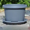 Maceta de Resina Engrosada Maceta de Plástico para Balcón Maceta para Plantar Rosas Hortensias Suculentas Galón Grande Maceta Qingshan Control de Raíz Maceta para Bulbos