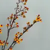 Estilo Wabi-Sabi Vid Artificial de Serpiente del Sur y Fruta de Serpiente del Sur, Instalación de Hotel, Arte Floral Vintage de Otoño, Adornos Decorativos para Sala de Estar