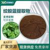 Extracto de Gynostemma Pentaphyllum Materia Prima para Alimentos Saludables Gynostemma Pentaphyllum Glucósido Total Poderosa Fábrica Venta al por Mayor Gynostemma Pentaphyllum Polisacárido