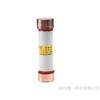 Fusible limitador de corriente de alto voltaje RN2-10KV RN2-10/0.5A-1A-5A-10A15A Tubo de fusión especial para gabinete de alto voltaje