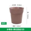 Vaso de Flores Respirável Universal, Vaso Moraga de Galão, Vaso de Flores de Plástico Resina para Mesa Balcão, Vaso Respirável para Suculentas com Prato