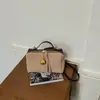 Shuai Mijia 2026 Outono Nova Moda Nicho Bolsa Quadrada Pequena Elegante Bolsa de Ombro Único Transversal Tendência Bolsa Feminina