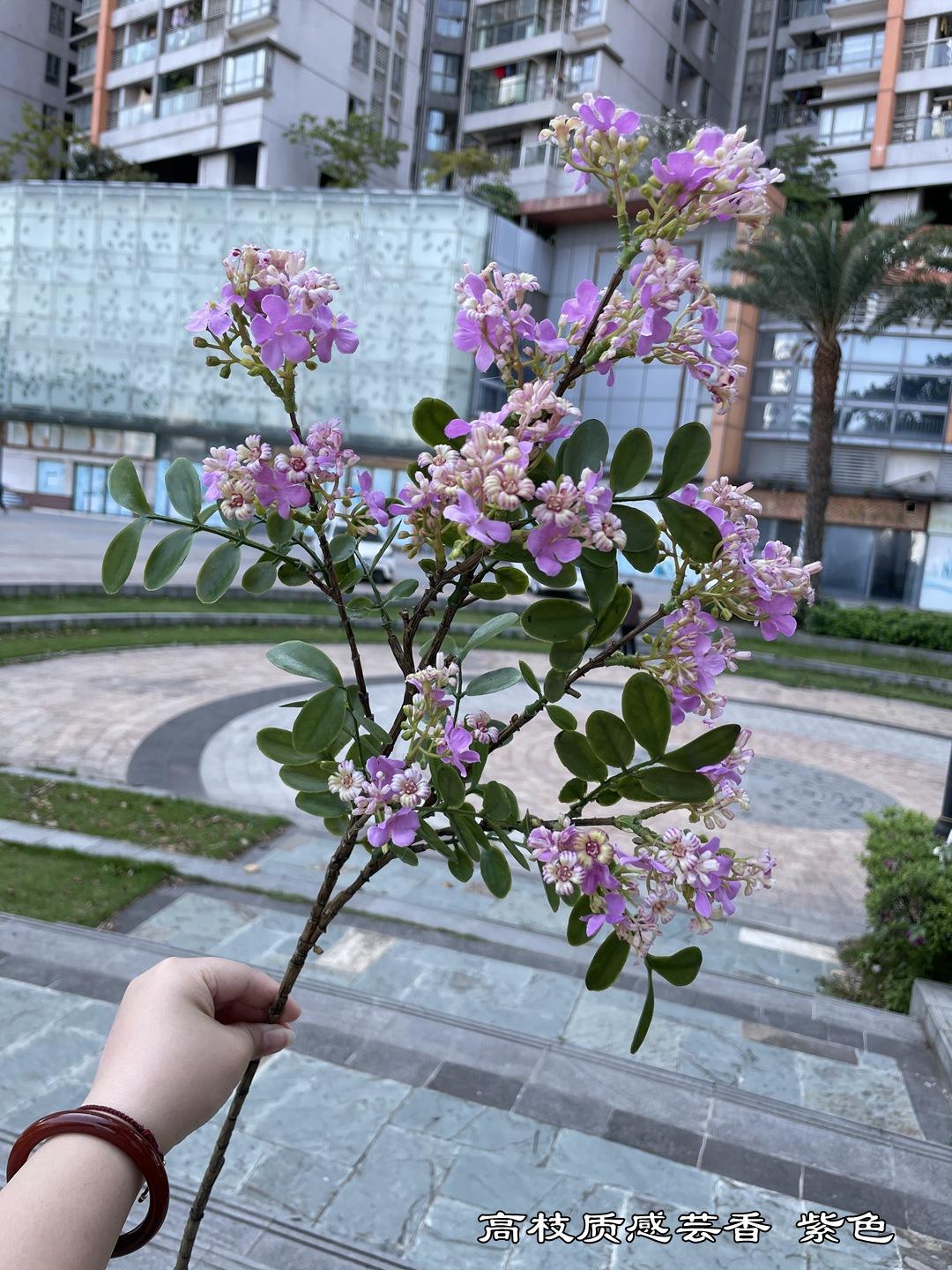 微信图片_20220404153926.jpg