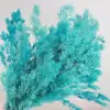 Pino de Penglai Flor Eterna Flor Seca Flor Preservada Ramo de Flores Materiales Florales DIY Decoración de Sala de Estar Arreglo de Boda Flores de Regalo para el Festival Qixi
