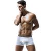 Cueca boxer masculina elefante bolsa de seda gelo malha respirável boxer U-convexo plus size cueca boxer masculina calças curtas