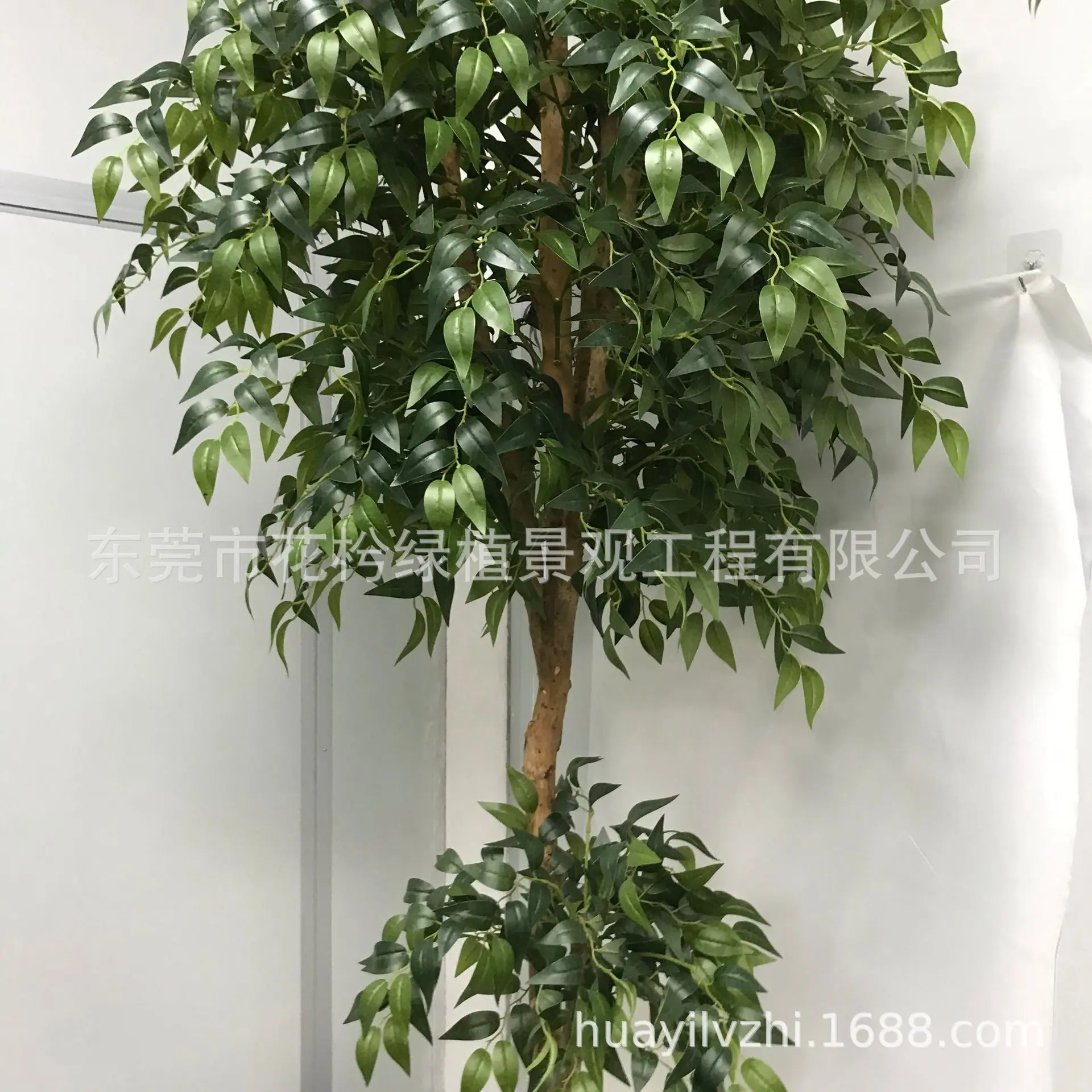 微信图片_2021052809445210
