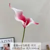 Flor artificial de alta qualidade, haste única, EVA, pétala dupla, Lírio-calla, estilo selvagem, arranjo de flores de casamento, decoração, flor artificial, materiais de flores para comércio exterior