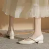 Zapatos Mary Jane de Tacón Grueso Jin Gang CG3019 para Mujer 2024 Nuevos Zapatos de Cuero para Primavera y Otoño Zapatos de Tacón Bajo Zapatos Bajos de Boca Única para Mujer