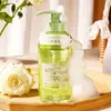 Detergente Líquido Antibacteriano a Base de Plantas TW para Ropa Interior