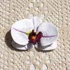 Flor Artificial Eva Impresa 3D Cabeza de Orquídea Mariposa Pequeña Exquisita Recuerdo de Boda Decoración de Caja de Dulces Material para Accesorios del Cabello