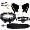 Conjunto Sexy de Tres Piezas, Tapón Anal, Aparatos para Hombres y Mujeres, Productos Sexuales, Set Sexual de Metal Sm, Cola de Zorro