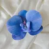 Horquilla para el cabello con cabeza de orquídea mariposa simulada, diadema de flores, tocado, accesorios para el cabello, accesorios para ropa y zapatos, materiales, accesorios, cabeza de flor simulada, flor