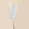 Haste de Brinquedo para Gato com Cabeça de Reposição, Brinquedo para Gato com Sino e Pena, Gadget de Haste para Gato para Autoentretenimento e Alívio do Tédio, Haste Longa de Fio de Aço Resistente à Mordida para Interação