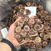 Rodajas Auténticas de Polvo Rojo, Rodajas de Cera del Noreste al por Mayor, Venta al por Mayor, Varias Especificaciones, Gran Cantidad, Excelente Precio, Medicina Herbal China, Rodajas de Asta
