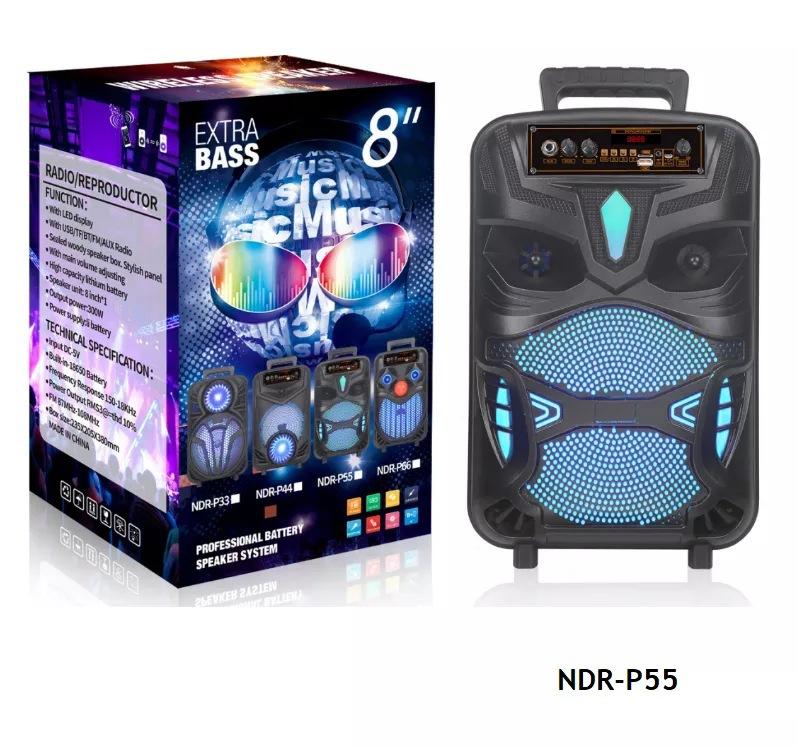 NDR-P55.jpg