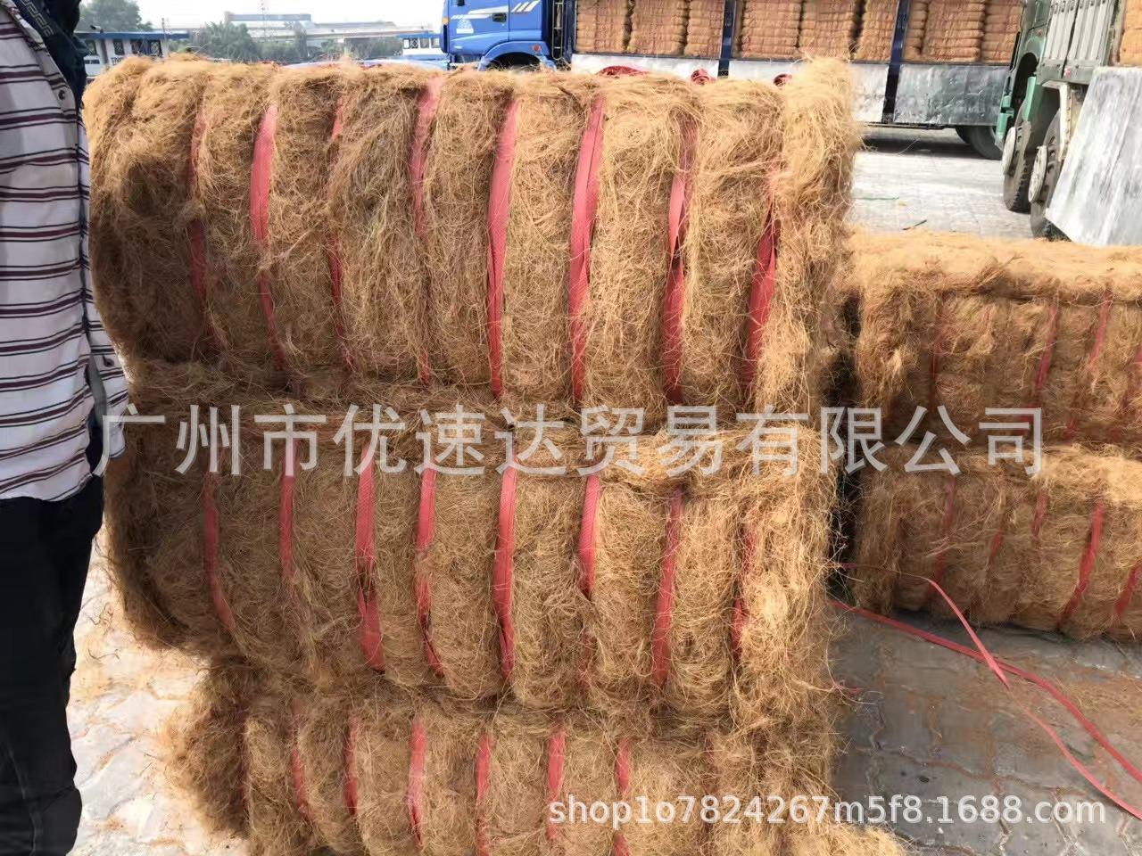 2椰丝.jpg