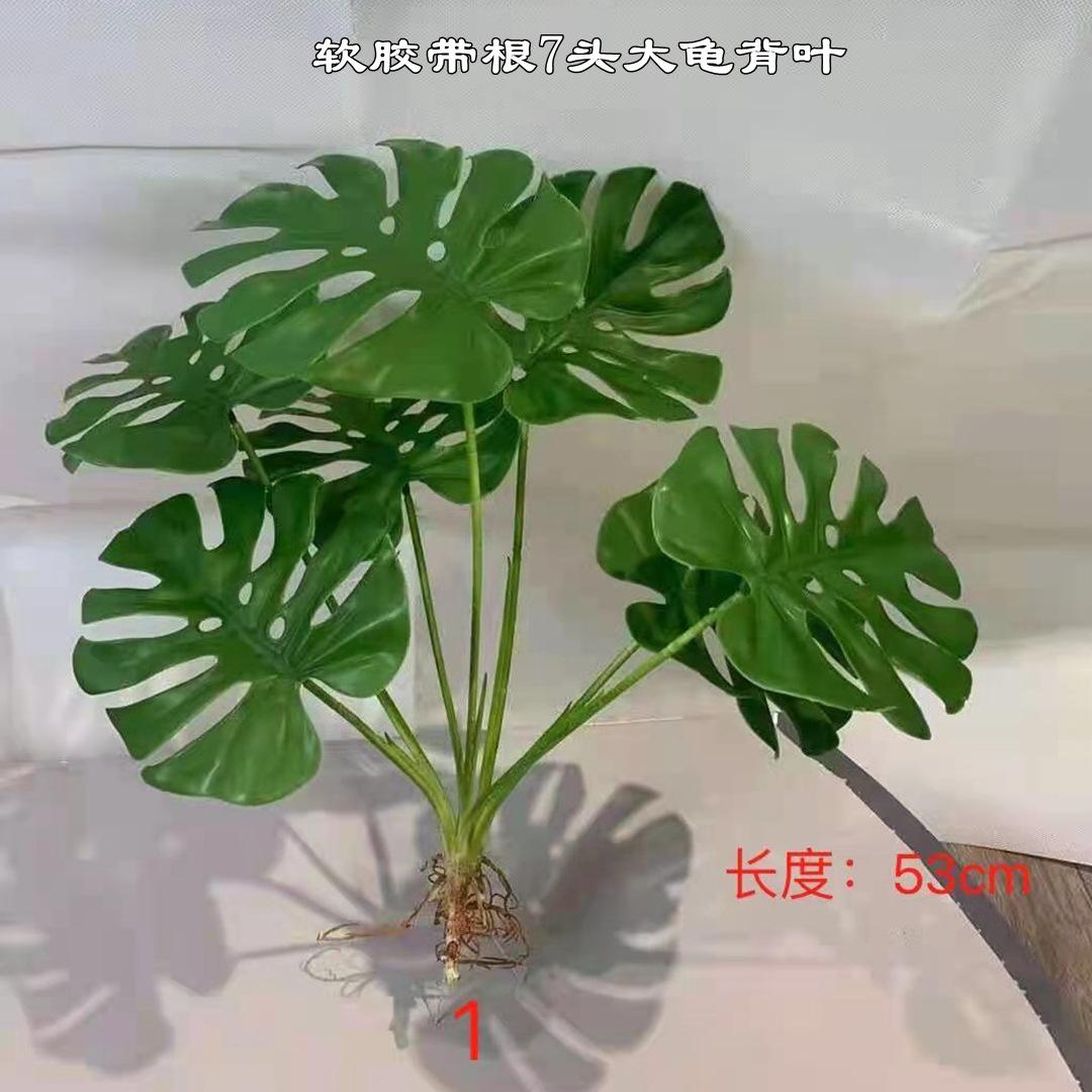 微信图片_20211128180350_副本.jpg