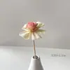 Aromaterapia de Varilla Volátil Tipo Flor Accesorios de Fragancia Floral Bola de Ratán Aromática Perfume de Rocío Flor Seca Ratán de Madera