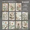 Dia lindo material papel série jardim passado tema planta decoração de diário de mão fundo 30 em 6