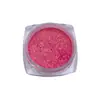 Pó Vibrante Colorido Super Delicado Luminoso Brilhante Joias para Unhas Cor Doce Sonhadora Pó de Açúcar Decoração de Unha Usável