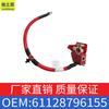Aplicable a BMW Serie 3 Serie 4 M4 Cable Negativo de Batería 320i325Li Cable de Batería OE 61128796155