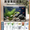Acuario de Pez Arowana, Acuario de Cristal, Acuario de Escritorio, Filtro para Acuario, Acuario Pequeño para el Hogar, Acuario de Oficina, Acuario de Espalda Negra