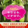 Listado de plantas acrílicas Planta de parque Flor y hierba de jardinería Etiqueta de acrílico Cartel de presentación de árbol para exteriores de acrílico