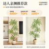 Haihong Mismo Estilo Interior Grande de Alta Gama Lujo Ligero Adornos de Decoración de Planta Pseudo Bambú Nantian Simulación Planta Verde Junto al Sofá