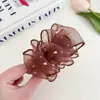 Novo Prendedor de Cabelo Estilo Francês Outono/Inverno, Elegante e Fashion, Rede Nuvem, Pinça Média