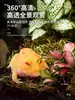 Terrário de Acrílico para Répteis Gecko Lagarto Árboreo Sapo Cornudo Aranha Caixa de Criação Paisagismo Desértico Tanque Anfíbio