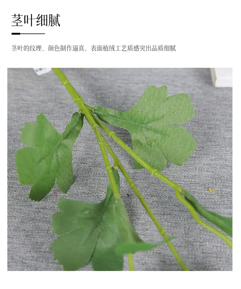 花田三头露莲_11.jpg