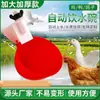 Bebedero grande para aves de corral, nuevo modelo de cubo de agua para granja, bebedero automático para alimentar pollos, tazón de agua automático para pollos, patos y palomas