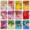 [Pacote de Material em Relevo A5] Flores Secas Flor Imortal Porta-Retrato Pacote de Material em Relevo Material de Flor para DIY Vela de Aromaterapia Flores Secas
