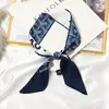 Bufanda de seda de primavera y verano bufanda pequeña femenina Corea del Sur puntiaguda fina tira estrecha corbata para el pelo cinta para el pelo nuevo estilo banda para el pelo combinable femenina