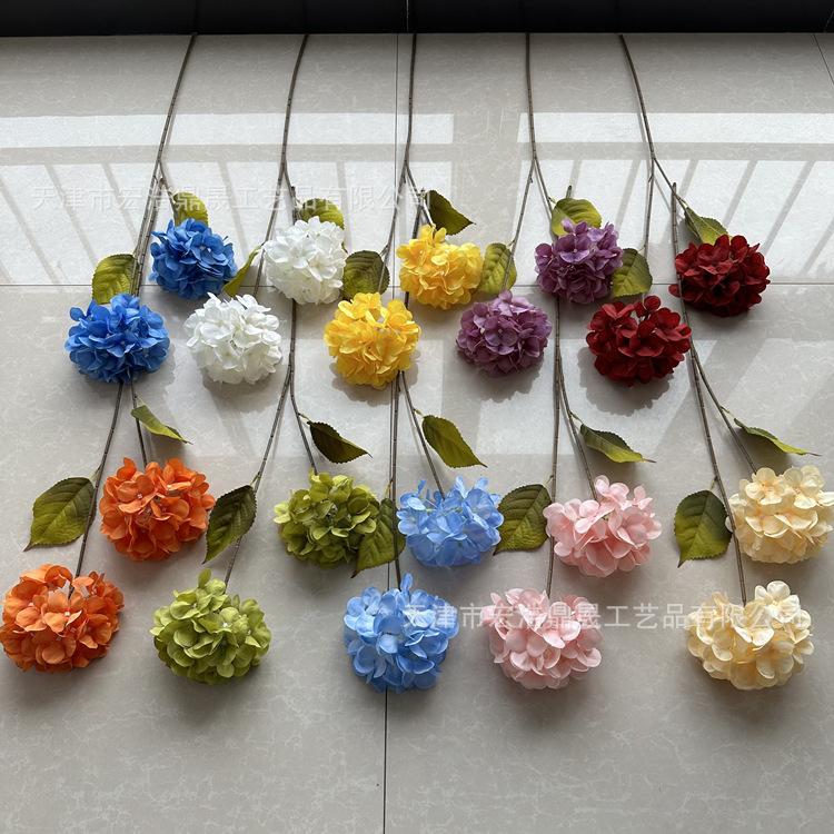 微信图片_202303211636141_副本