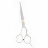 Tesouras de Beleza Transfronteiriças Tesouras para Tosquia de Animais Tesouras de Cabeleireiro para Cães Conjunto de Ferramentas Curvas para Corte de Cabelo Tesouras de Dente Fino para Aparar Cabelo