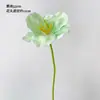 Ramo de Tulipanes Artificiales sin Hojas de Estilo Francés de una Sola Cabeza para Bodas, Decoración de Sala de Estar y Mesa de Comedor al por Mayor