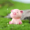 Família porco suculenta Bolo Zodíaco carro presente decoração pingente desenho animado ano do porco artesanato em resina porco rosa