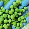 Suministros del Fabricante Guisantes Verdes Congelados Rápidamente para Catering, Guisantes Congelados Rápidamente para Catering, Guisantes Verdes Dulces Congelados Rápidamente