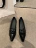 Sapatos Femininos de Bico Marrom Single Shoes Primavera e Outono 2024 Novos para o Trabalho Joker Boca Rasa Slip-on Planos Macios Ladyshoes