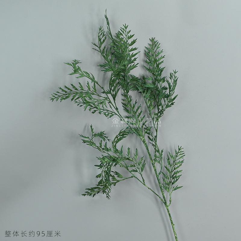 4叉月牙草