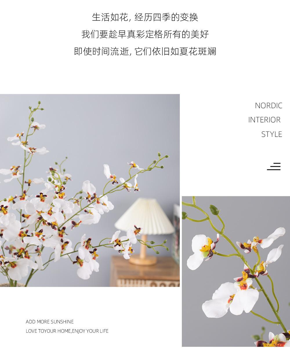 详情_05.png