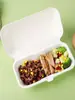 Caixa para cachorro-quente de polpa de papel, caixa de embalagem descartável, recipiente retangular para alimentos, sanduíche de croissant para levar, fabricante comercial de peça única