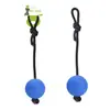 Brinquedo de Mastigar para Cães Nunbell Cross-Border, Material TPR, Bola Sólida de Alta Elasticidade, para Limpeza dos Dentes e Treinamento Interativo