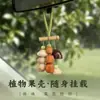 Kit de Materiales para Colgante Sonajero de Cáscara de Fruta Natural Llavero DIY Accesorios para Bolsas Fabricante de Colgantes Venta al por Mayor
