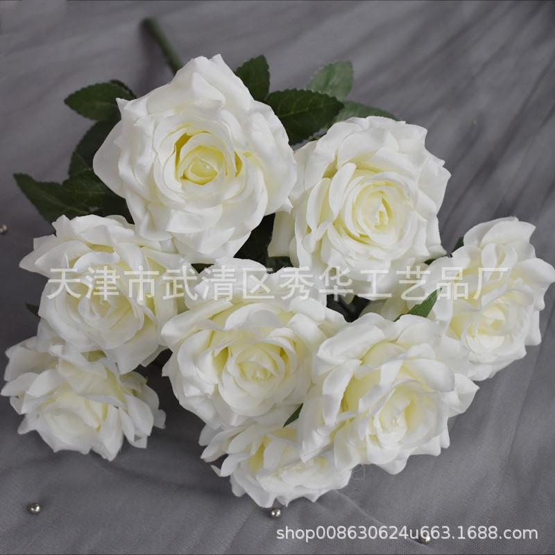 9头玫瑰白色